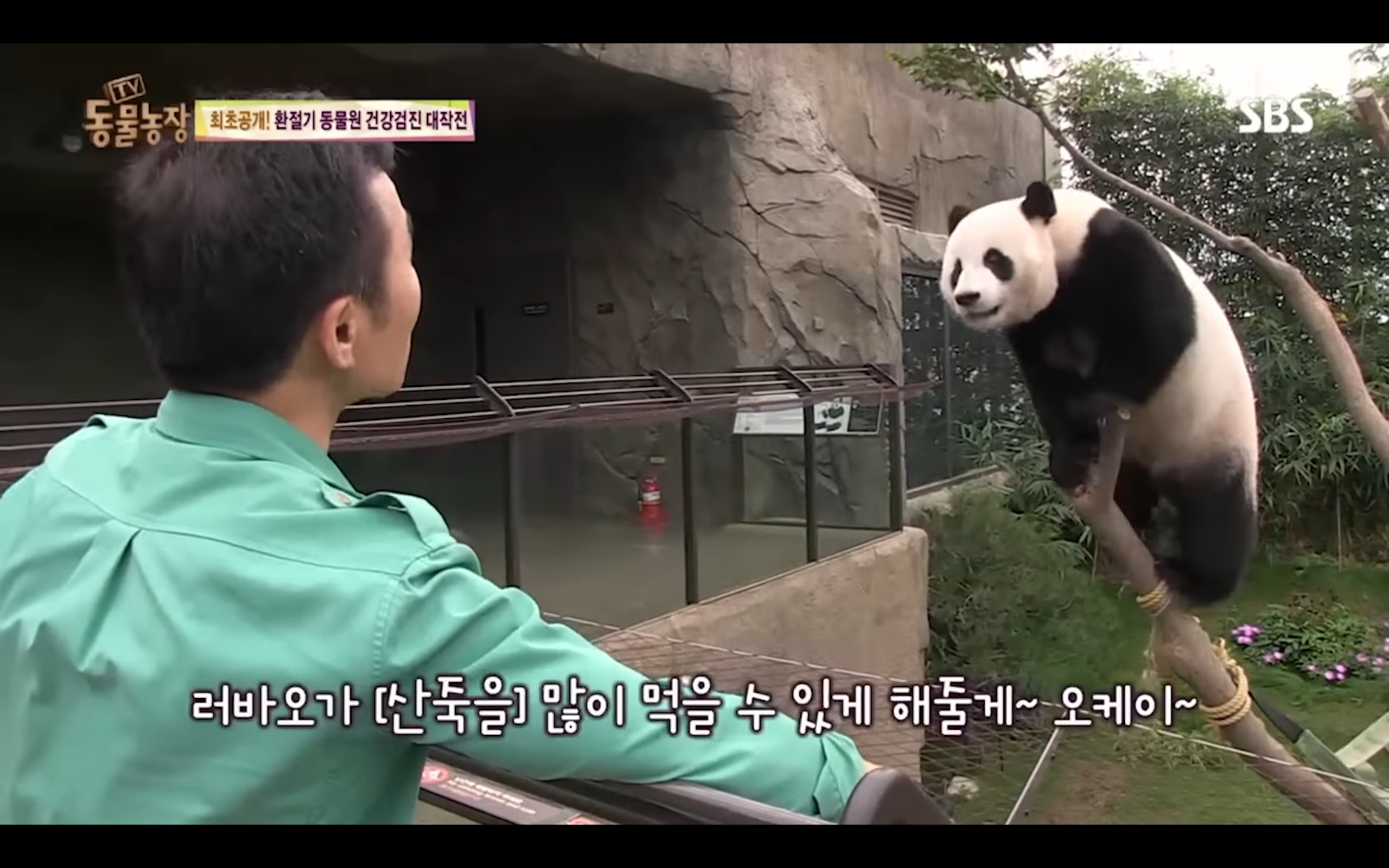 6a3cf424dab13bc0e49f0cf13f610499a5d804fa