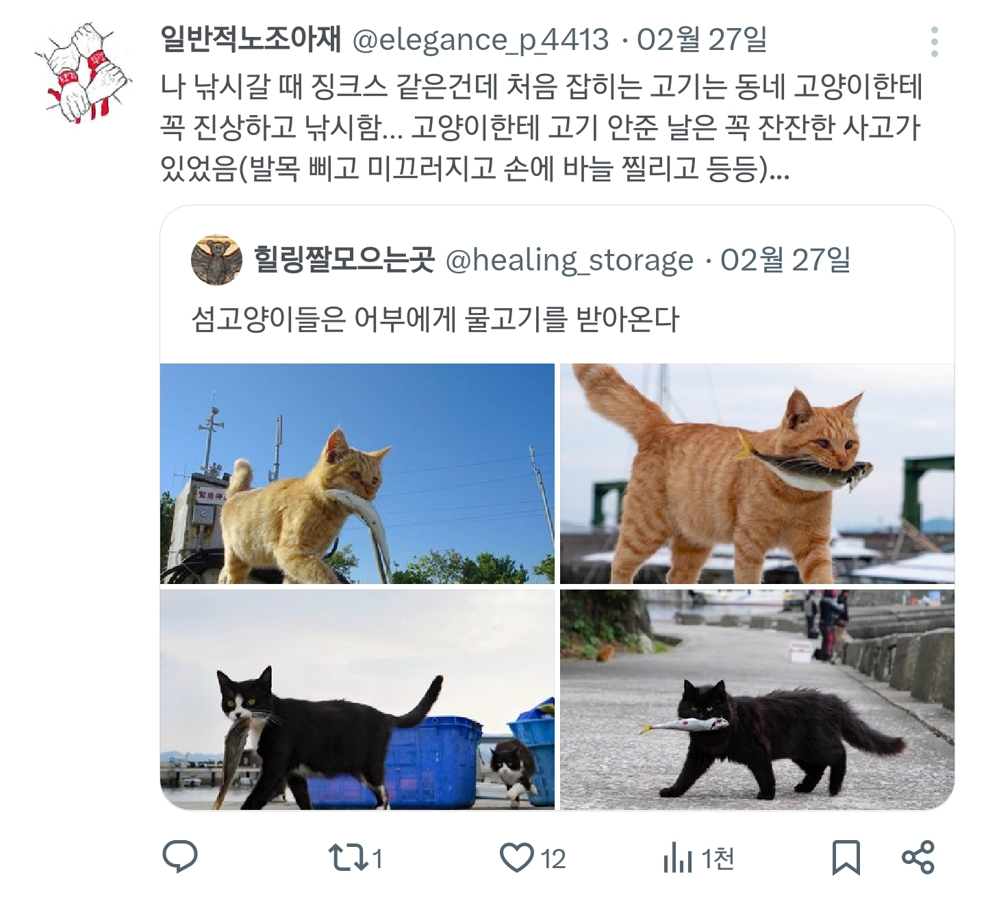 섬고양이들은 어부에게 물고기를 받아온다 | 인스티즈