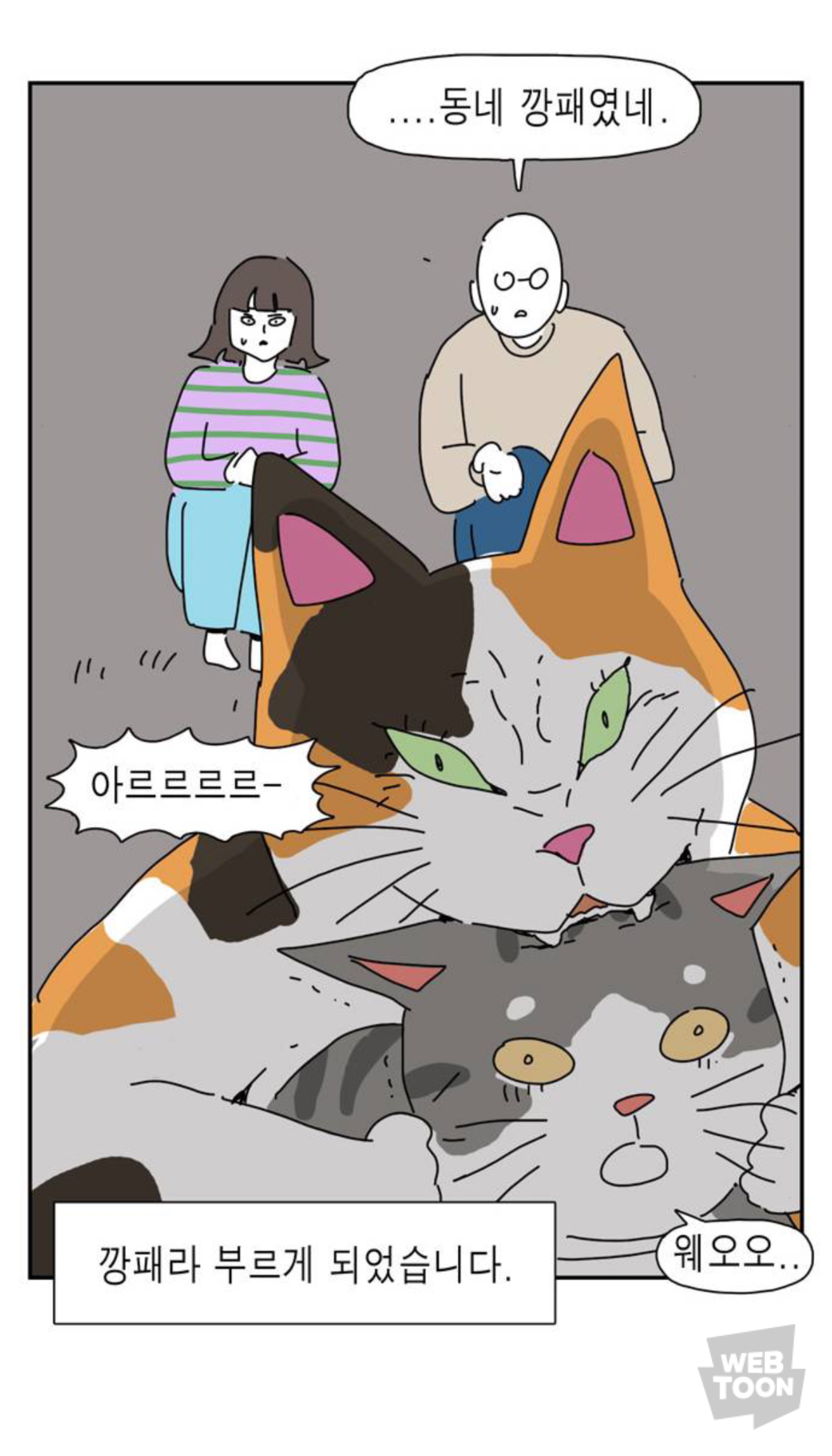 길냥이 입양한 좀비딸 작가 근황 | 인스티즈