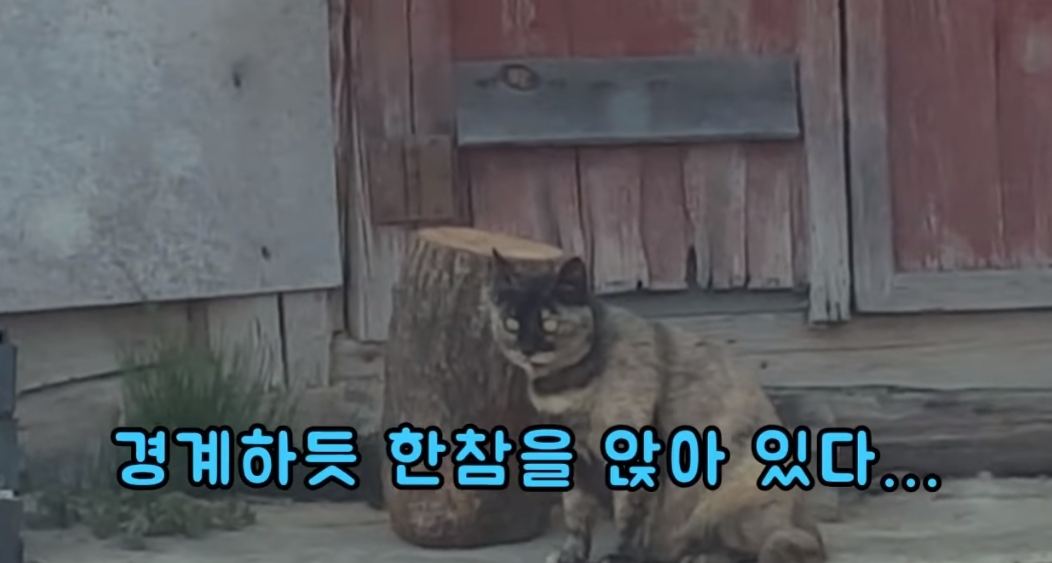 6deb38eb7814111a9fad5723b3fda8f9c79b320a