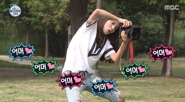 생일파티하는 강아지를 본 사람들 | 인스티즈