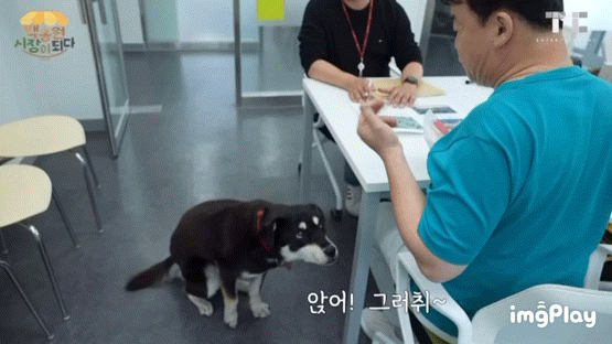 신입직원이 더본코리아 서열1위됨. 이름은 백술이 | 인스티즈