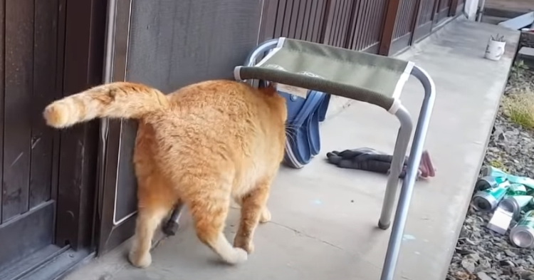 710308bbd4cb4e02ff831d889cdce7db1e01b65f