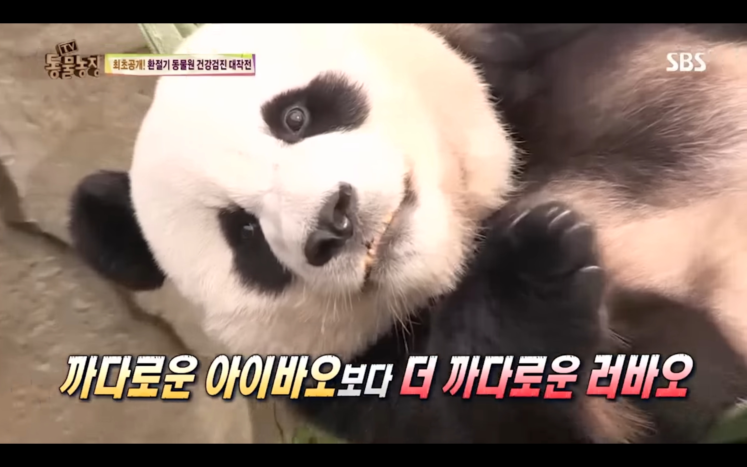 721a26a0a96a13111cf4564d5a78b07845c76f2d