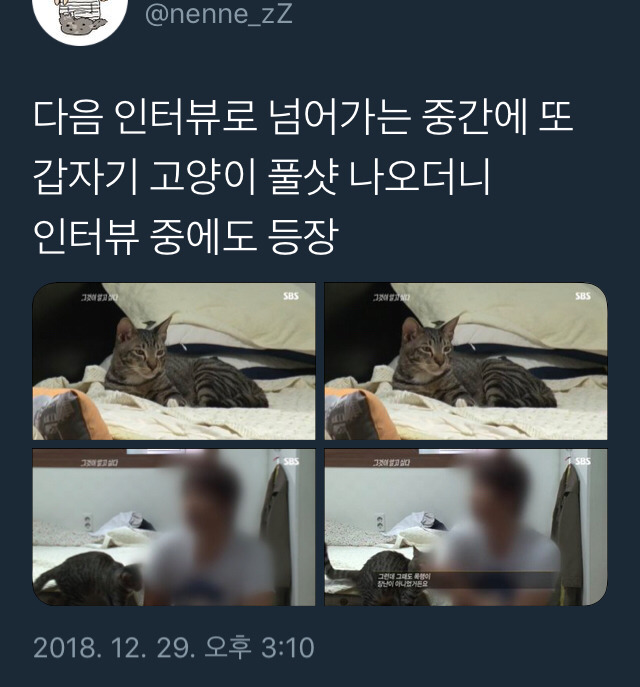 당신은...태어난 사람.twt | 인스티즈