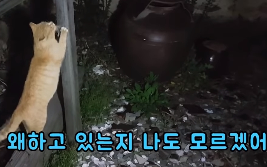 72df6ce852e9466a6853367037840b14121b0d17