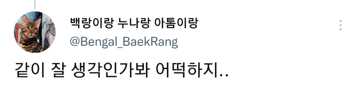 캠핑하러 왔다가 맹수들한테 집 습격당함 ㅜㅜ.twt | 인스티즈