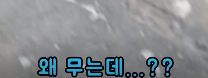 76104b431a80b1ba97ef2a1a579d1da4f4008ee7