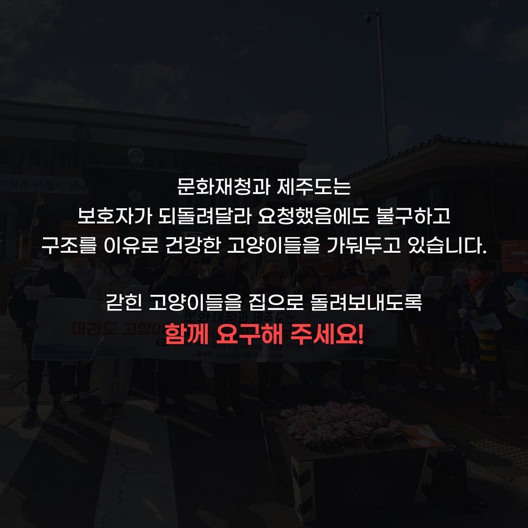 마라도 고양이 2차 회의에서 조류관계자가 고양이는 살처분 해도 되는 존재다 라고 발언 | 인스티즈