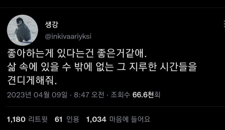 우리 같이 귀여운 할머니가 되자. twt | 인스티즈