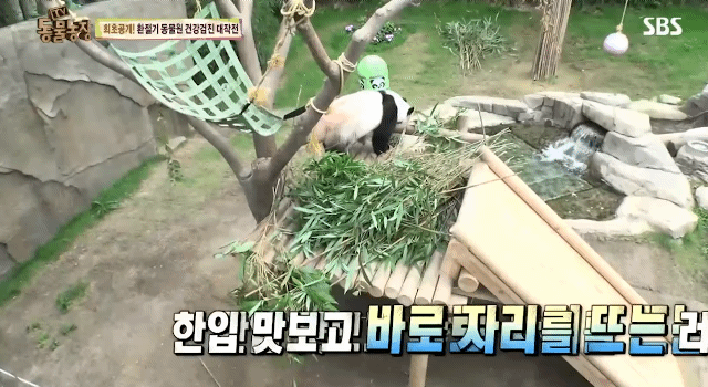 78bfd64ad3317bc70333fa378715ae940b41ae66