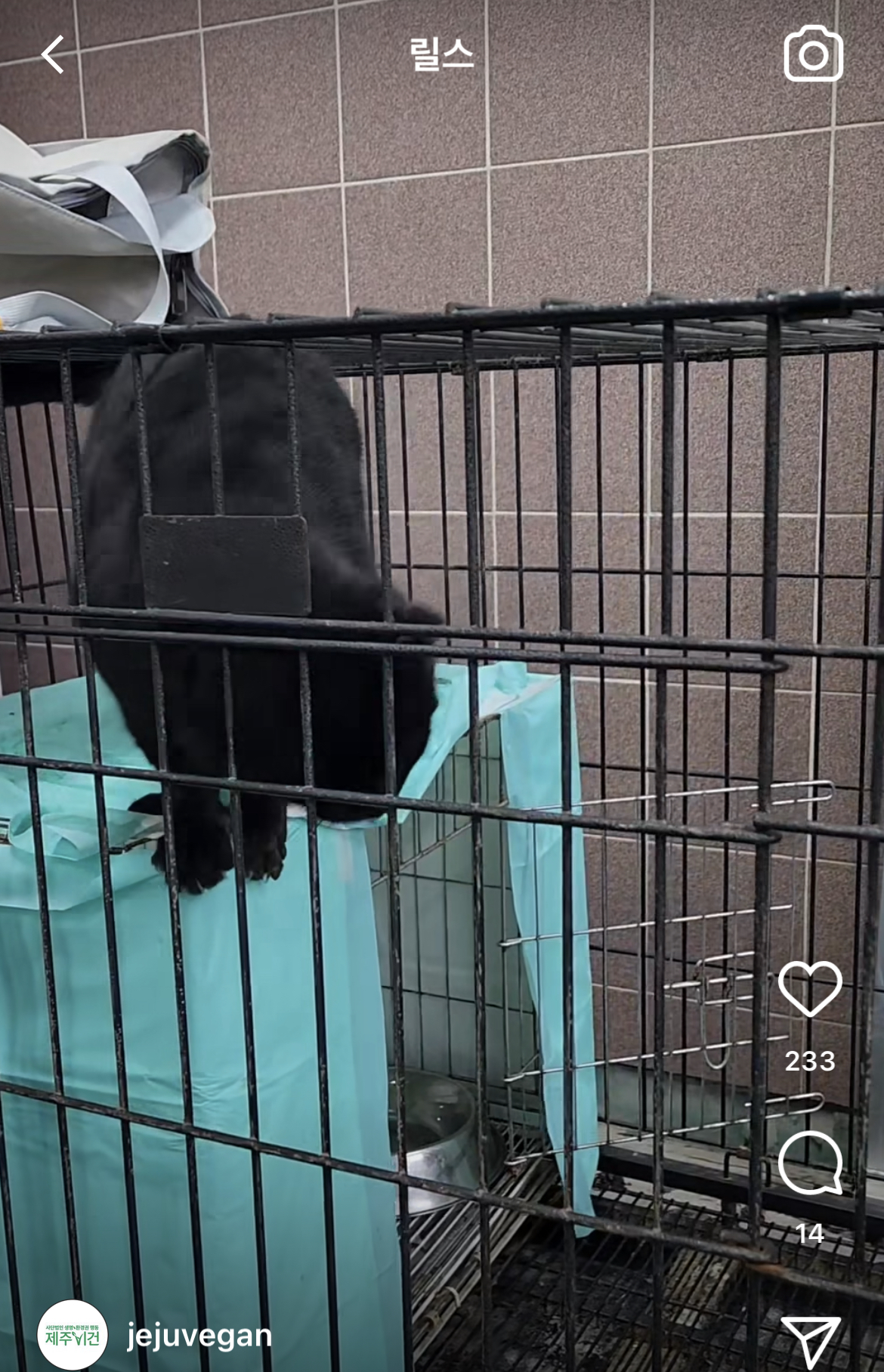 마라도 고양이 2차 회의에서 조류관계자가 고양이는 살처분 해도 되는 존재다 라고 발언 | 인스티즈