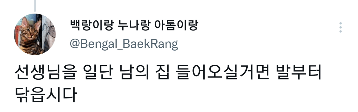 캠핑하러 왔다가 맹수들한테 집 습격당함 ㅜㅜ.twt | 인스티즈