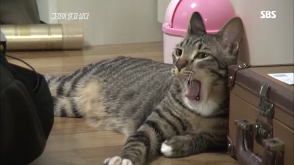 당신은...태어난 사람.twt | 인스티즈