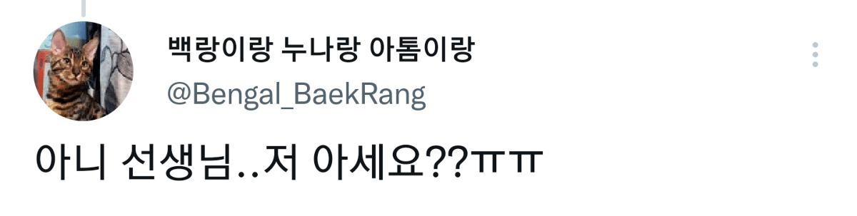 캠핑하러 왔다가 맹수들한테 집 습격당함 ㅜㅜ.twt | 인스티즈
