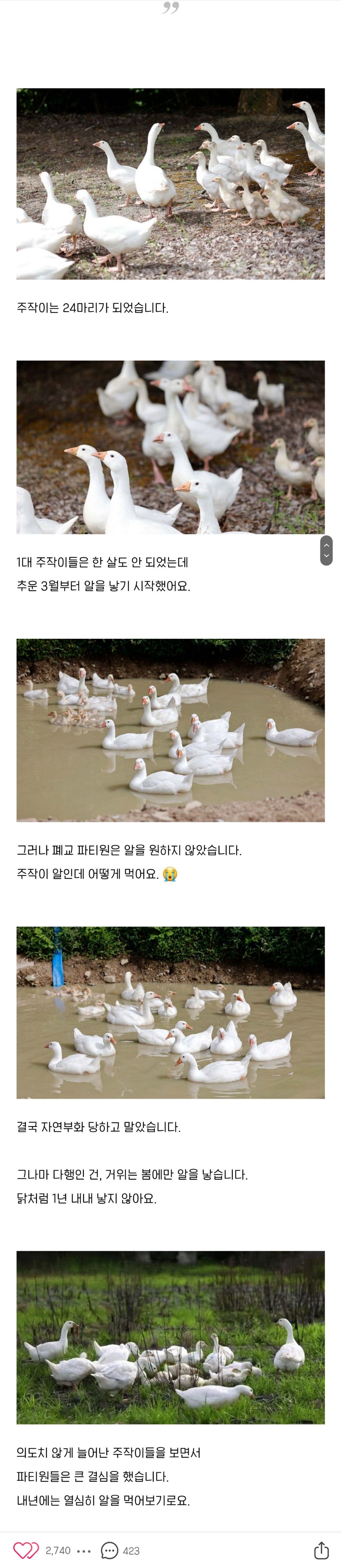 알도 부화 시키는 드루이드.jpg | 인스티즈