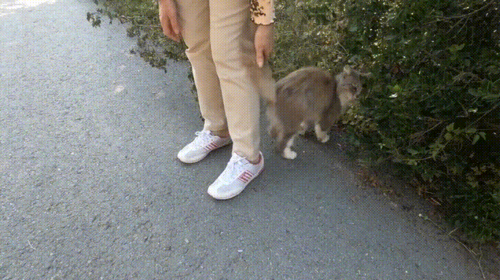 튀르키예 제일 부러운 점..........JPG | 인스티즈