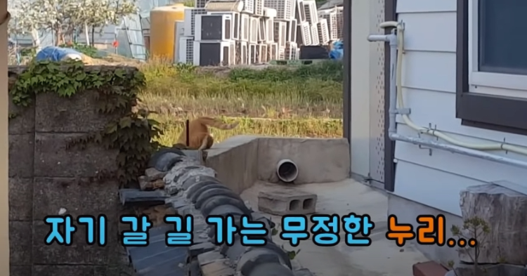 8782a64acbf01b08a44921bfda8619c75135083d