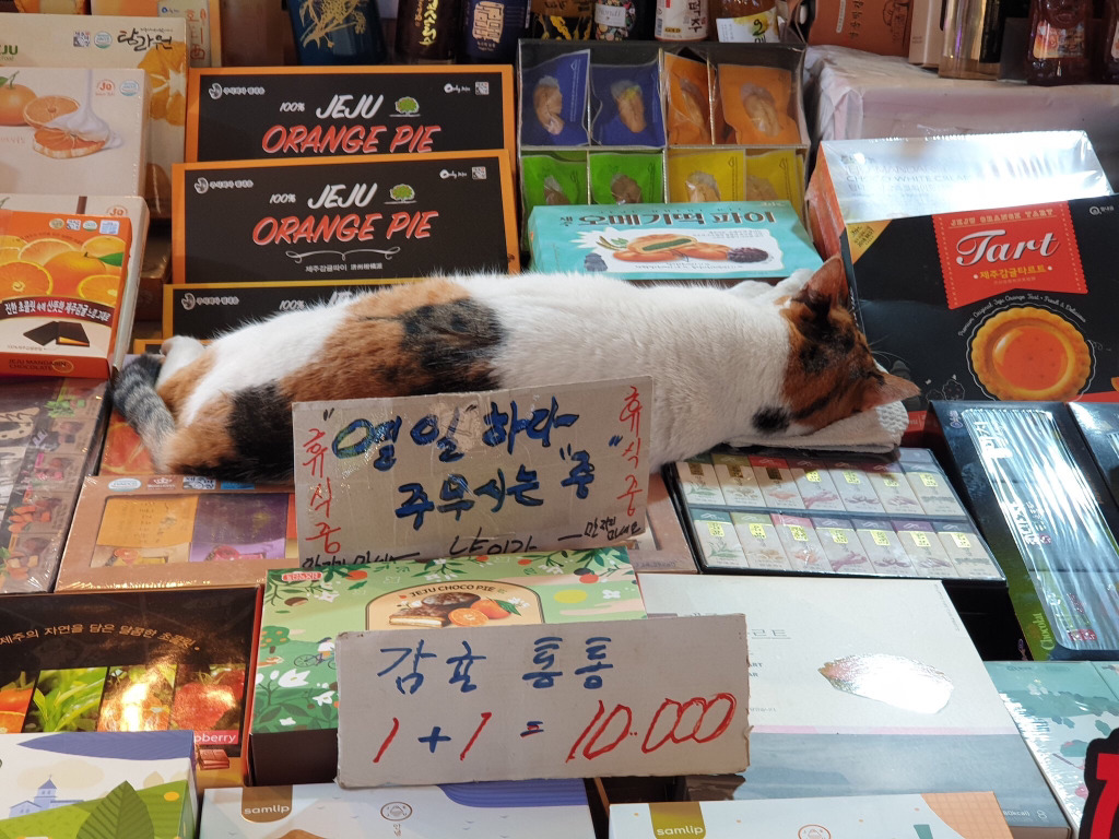 당신은...태어난 사람.twt | 인스티즈