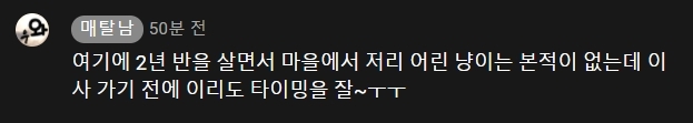 [매탈남] 살고 싶어서 새벽 2시에 찾아온 새끼 고양이 | 인스티즈