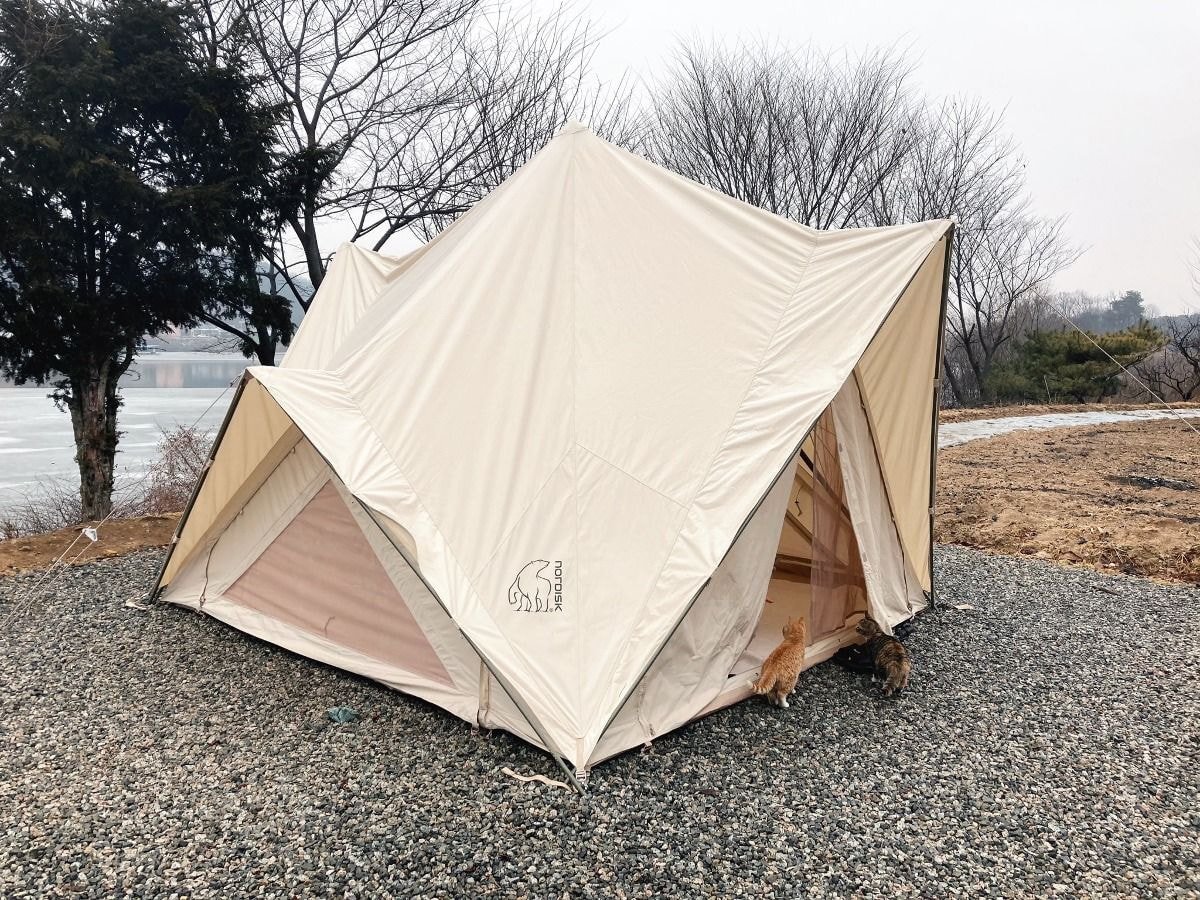 캠핑하러 왔다가 맹수들한테 집 습격당함 ㅜㅜ.twt | 인스티즈