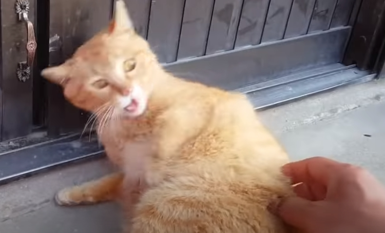 8dd4ef8015609f7e3d74754ad950c8deacaf2413