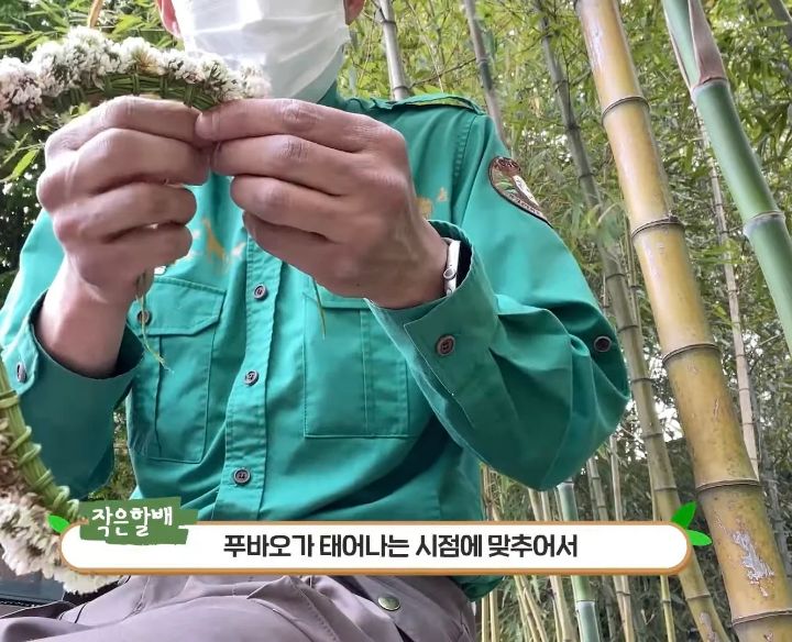 꽃을 좋아하는 푸바오에게 사육사 할아버지가 만들어주는 선물 | 인스티즈