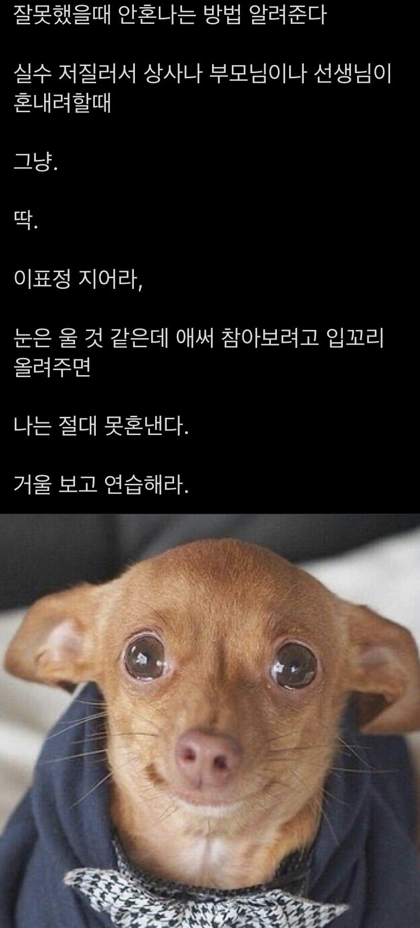 92296520288ff8faee7c8daaa2d2832ea90bcf2a