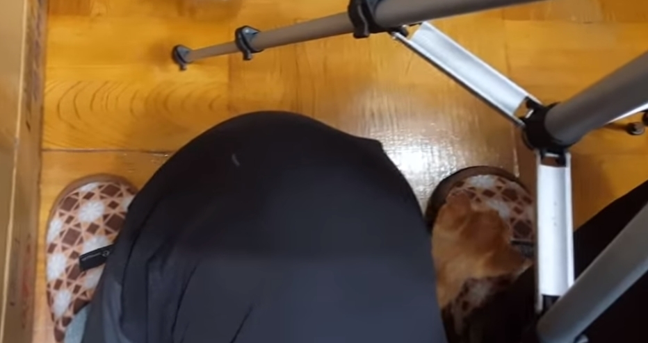 [매탈남] 고알못 집사한테 진심인 아기고양이.jpg | 인스티즈