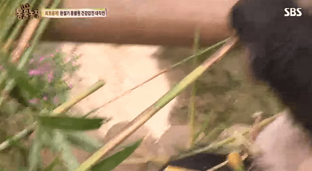 9c9ca35c96fd86a787708ff372ef09508ea27bcd