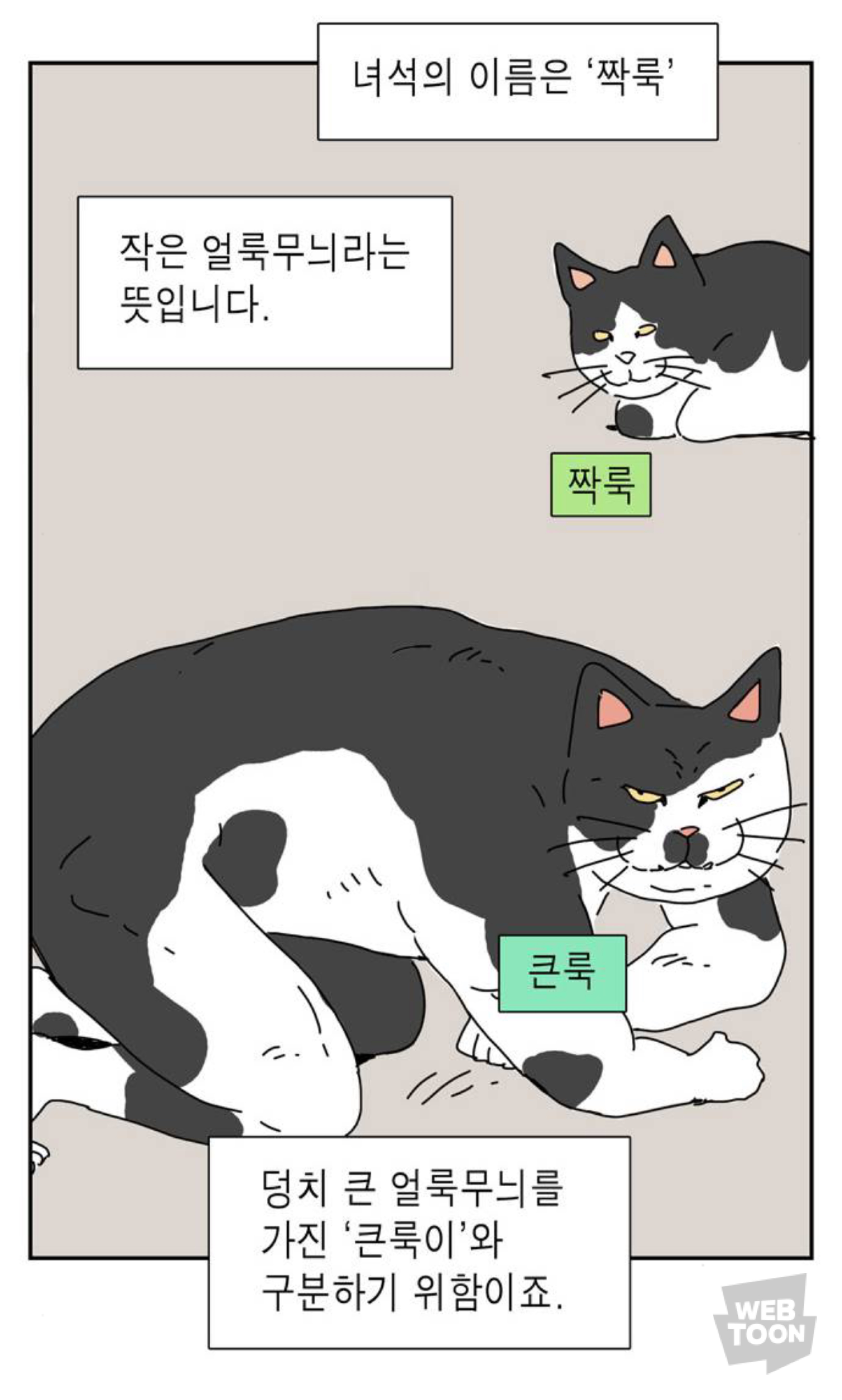 길냥이 입양한 좀비딸 작가 근황 | 인스티즈