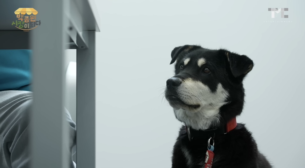 신입직원이 더본코리아 서열1위됨. 이름은 백술이 | 인스티즈