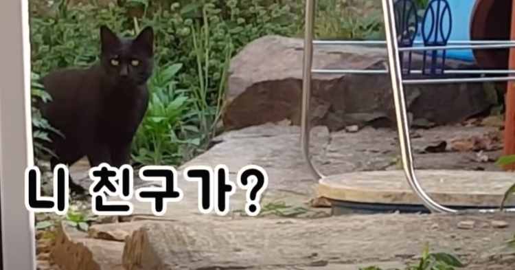 a37d30424504bc4da67d0827c003b61bbef9748a