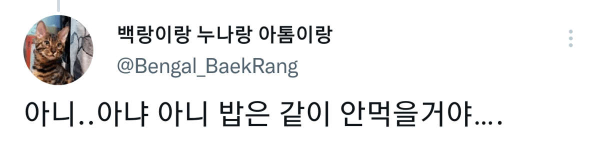 캠핑하러 왔다가 맹수들한테 집 습격당함 ㅜㅜ.twt | 인스티즈