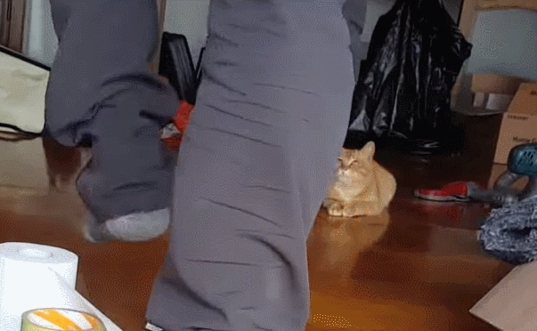 ac4b75f2702ffac6b08df6a729274ac974e2a882