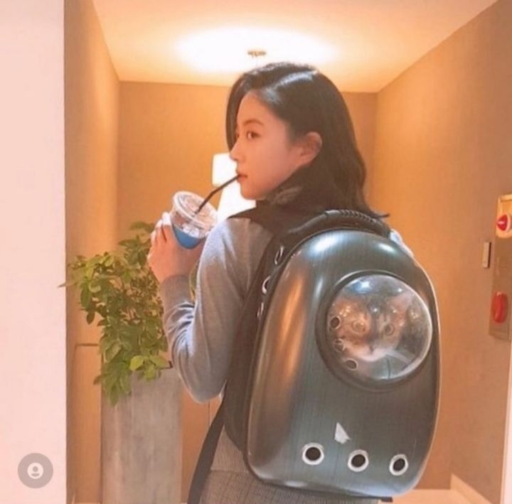 당근마켓으로 이웃집 쥐 잡기를 해준 적 있다는 이세영 | 인스티즈