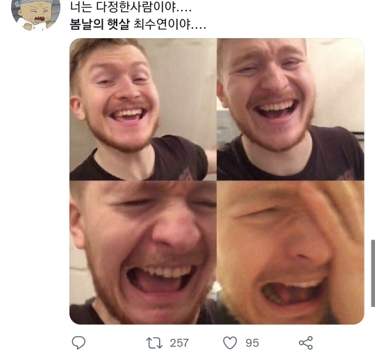 [우영우] 트위터 실트까지 뜬 영우의 봄날의 햇살 최수연 | 인스티즈