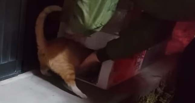 afd643e9b8b0a88a162798285d699e53668bd036