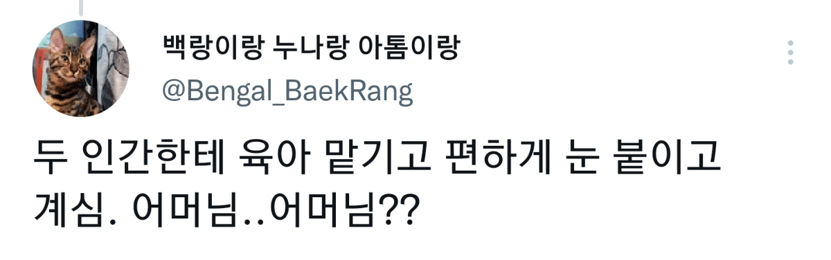 캠핑하러 왔다가 맹수들한테 집 습격당함 ㅜㅜ.twt | 인스티즈