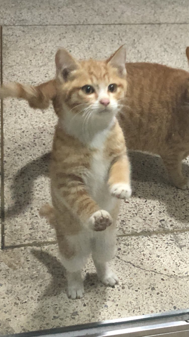 당신은...태어난 사람.twt | 인스티즈