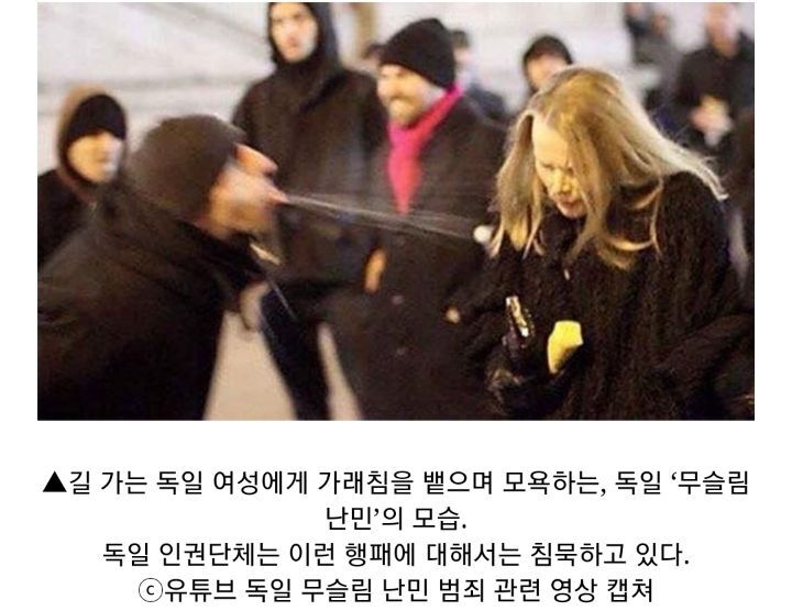 무슬림 난민들을 받아줬다가 헬게이트 된 유럽 상황 | 인스티즈