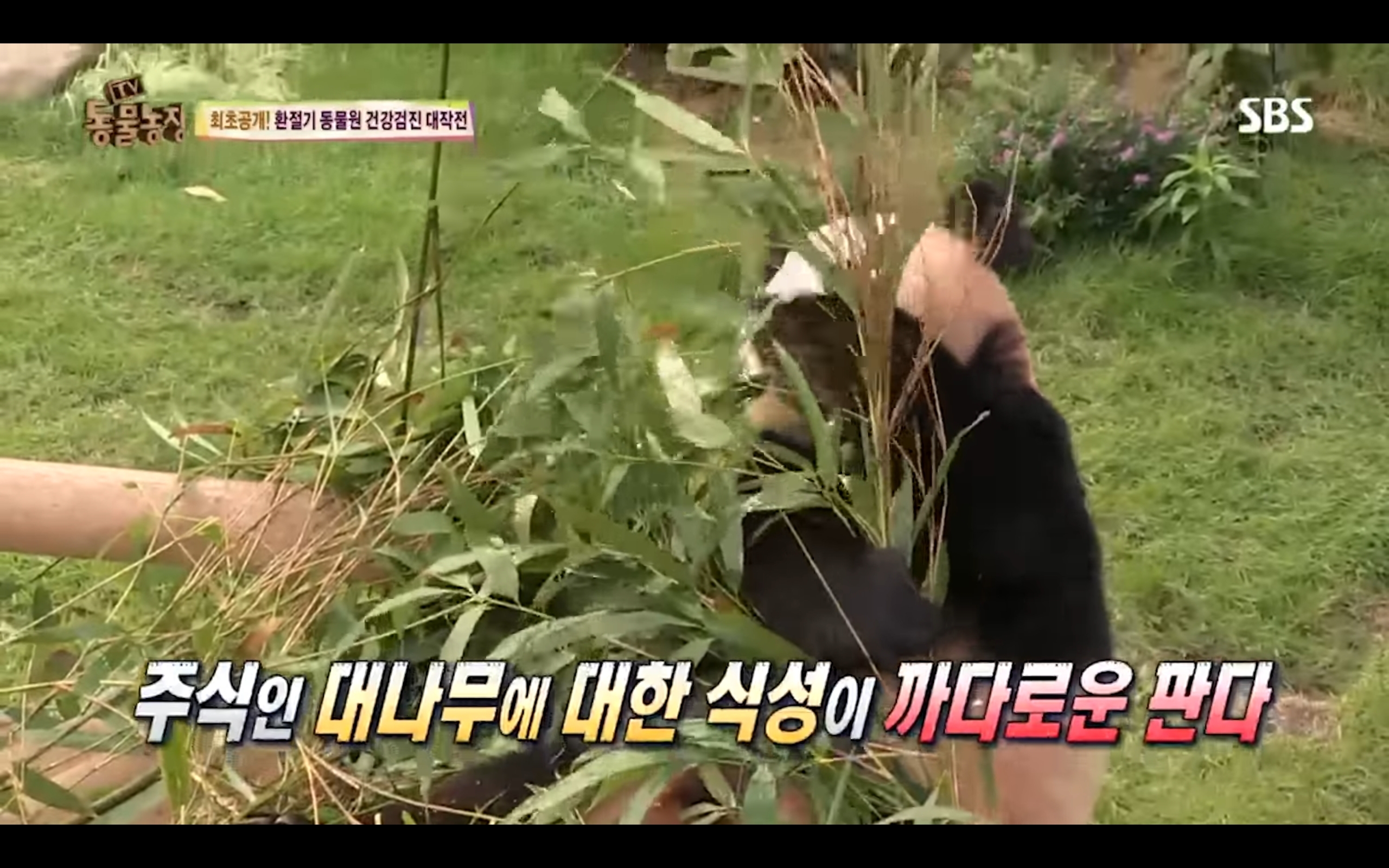 bbb6ba9a670c674efbb89831e4d433bc03e1f5f7