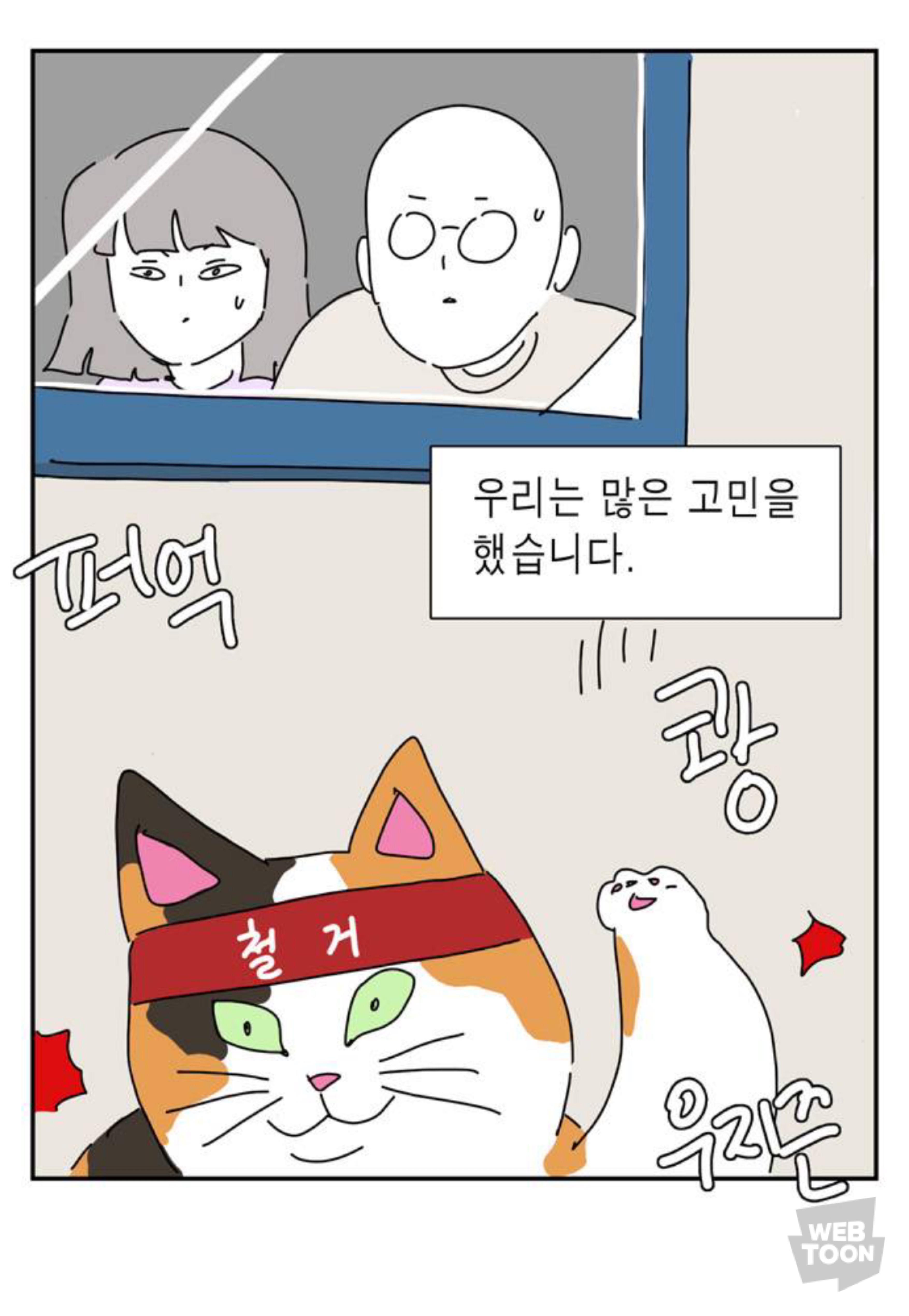 길냥이 입양한 좀비딸 작가 근황 | 인스티즈