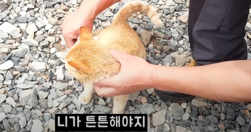 beec7ed56f1ab455cd8e51a87aef2f3c0d3f6498