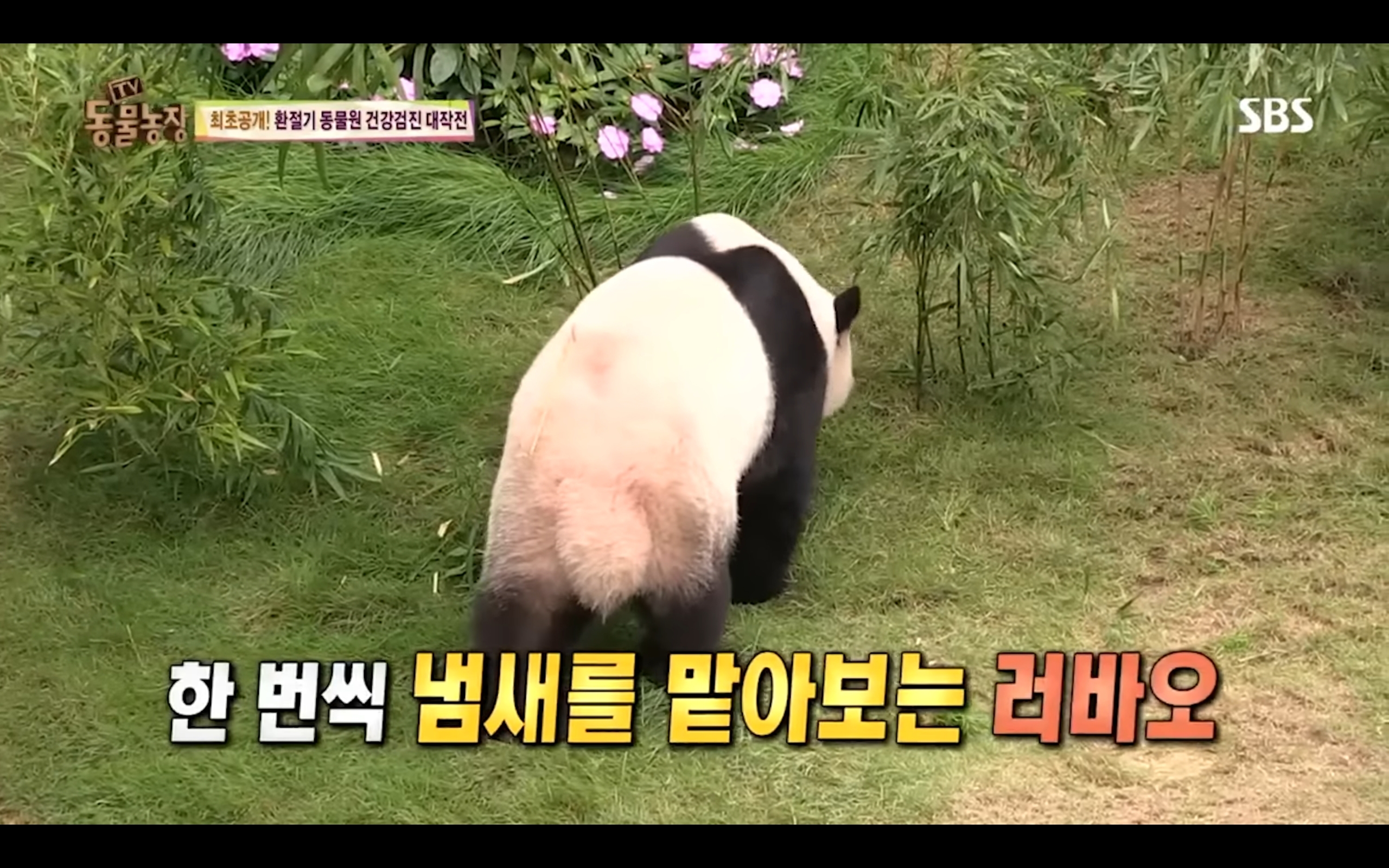 bfda1f76d7ce87fa7940f19fbaca7cfbec55b7bc