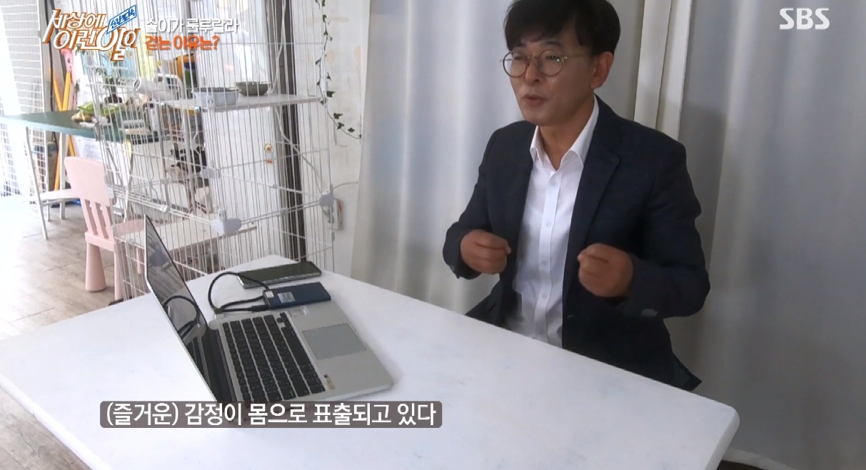 오늘 세상에 이런일에 나온 행복한 강아지.gif | 인스티즈