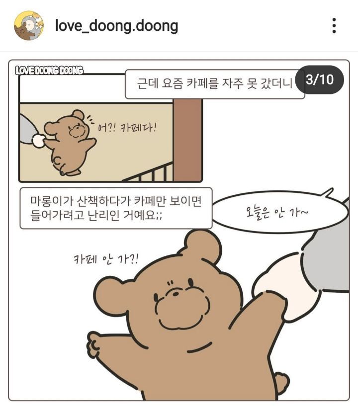 까페를 좋아하는 강아지 | 인스티즈