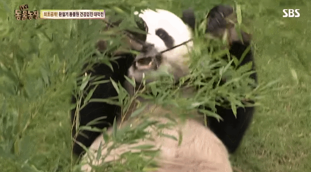 c907ca89f4de61bc4f9039c617451c7c18c8161f