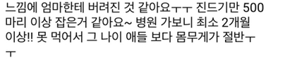 [매탈남] 살고 싶어서 새벽 2시에 찾아온 새끼 고양이 | 인스티즈