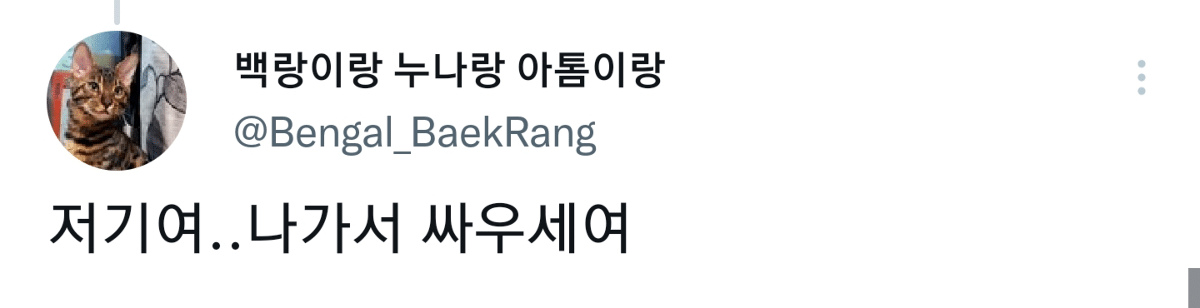캠핑하러 왔다가 맹수들한테 집 습격당함 ㅜㅜ.twt | 인스티즈